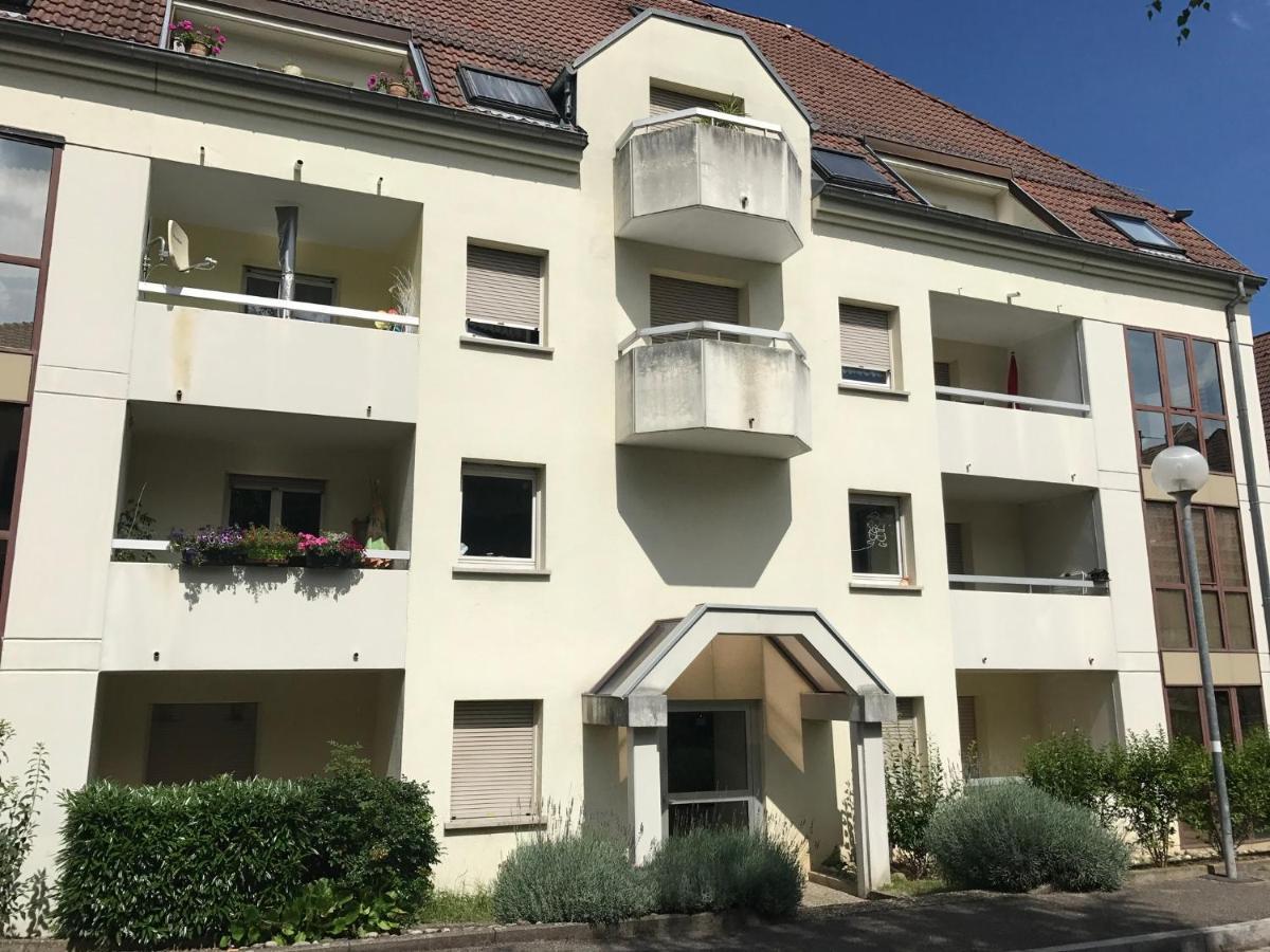 Superbe F2 Terrasse, Route Du Vin, Florival Guebwiller Exterior foto